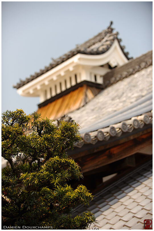 Traditional roof lines of Japanese temple architecture, Ryosen-an, Kyoto, Japan