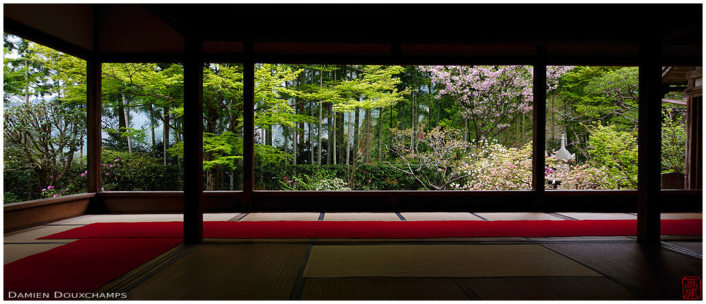 Cherry and other flowers blooming around the main hall of Hosen-in temple, Kyoto, Japan
