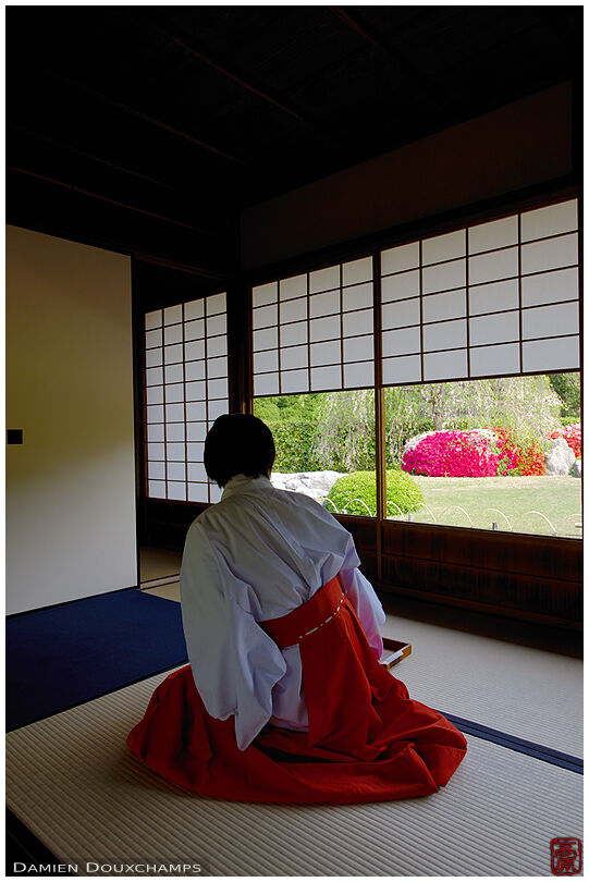 Serving tea during azalea season in the tea room of Jonan-gu shrine, Kyoto, Japan
