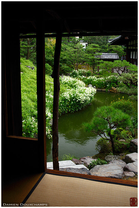 Tea room with view on garden and its pond during hangesho blooming season, Ryosoku-in temple, Kyoto, Japan