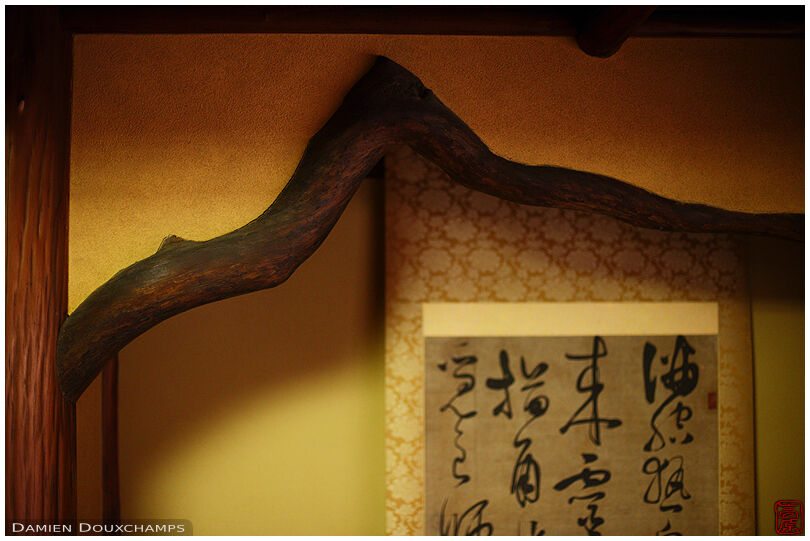 Uniquely shaped branch part of the structure of a tokonoma alcove in Watchigai-ya, Kyoto, Japan