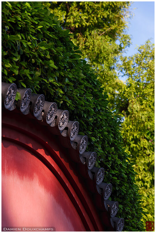 Red curved wall in Isshin-ji temple, Osaka, Japan