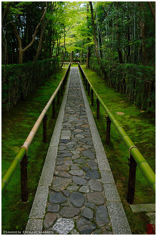 Koto-in temple narrow entrance path, Kyoto