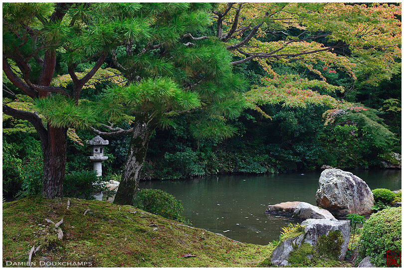 Pond with stone lantern in the garden of Chion-in temple, Kyoto, Japan