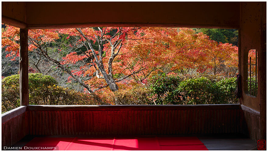 Small pavilion with view on autumn colours, Hakuryu-en garden, Kyoto, Japan