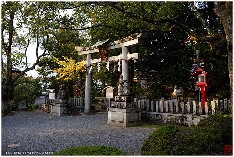 Later afternoon light on the main torii gate at the entrance of Miyake Hachimangu shrine, Kyoto, Japan