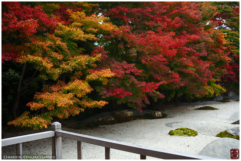 Terrace with view on rock garden and autumn colours, Jisso-in temple, Kyoto, Japan