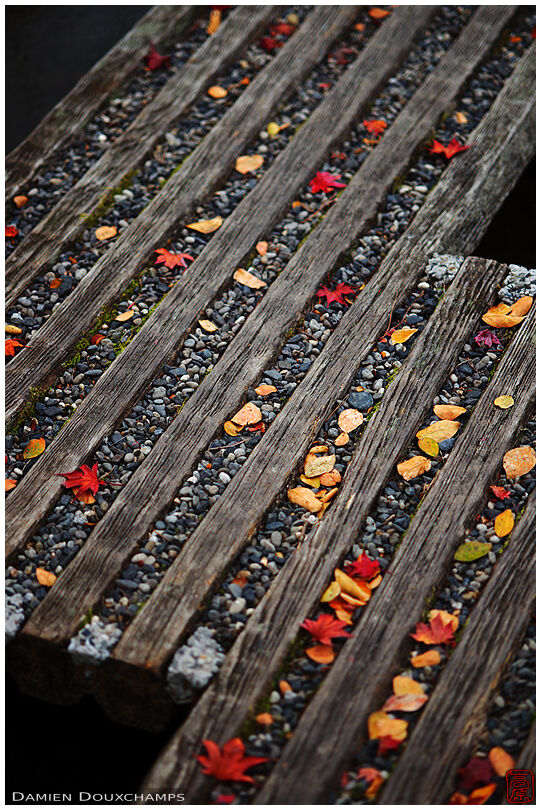 Fallen autumn leaves on little bridge, Kachu-an, Kyoto, Japan