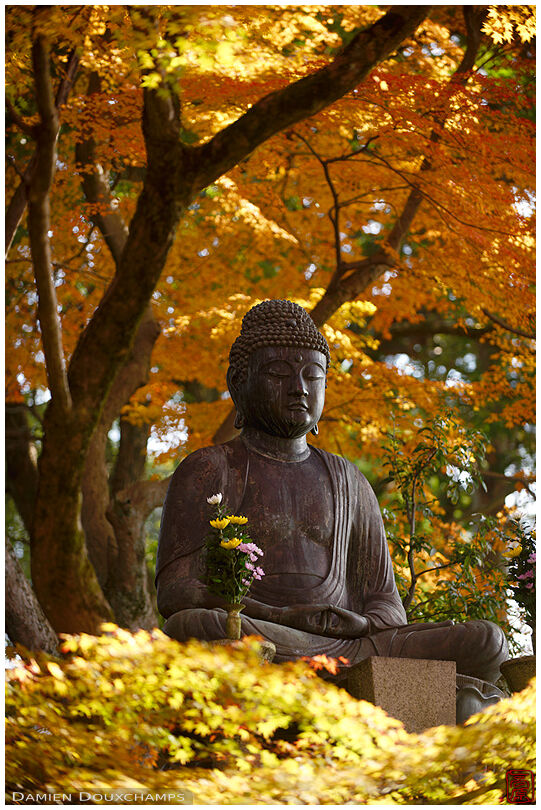 Buddha statue among golden leaves in Eishō-in temple, Kyoto, Japan