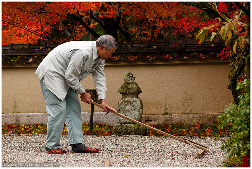 Gardener raking rock garden in autumn, Nobotoke-an, Kyoto, Japan