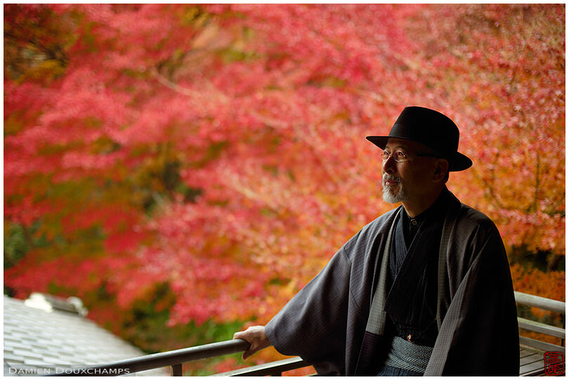 Well dressed kimono designer Mori-san enjoying autumn foliage in Ruriko-in temple, Kyoto, Japan