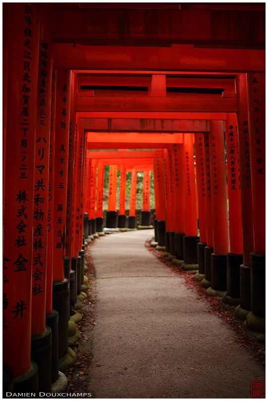 Path under red torii in Fushimi Inari shrine, Kyoto, Japan