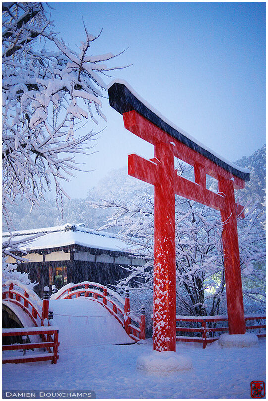 Blue hour in Shimogamo shrine during the largest snowfall on Kyoto in the last 50 years
