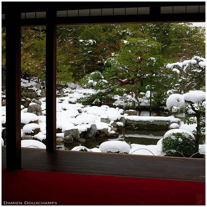 Show covered tea garden, Toji-in temple, Kyoto, Japan