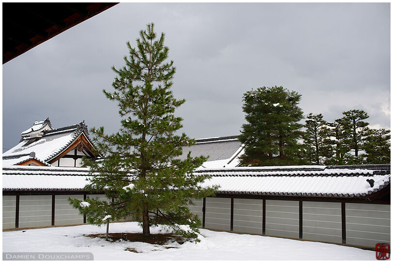 Snow-covered zen garden, Myoshin-ji temple, Kyoto