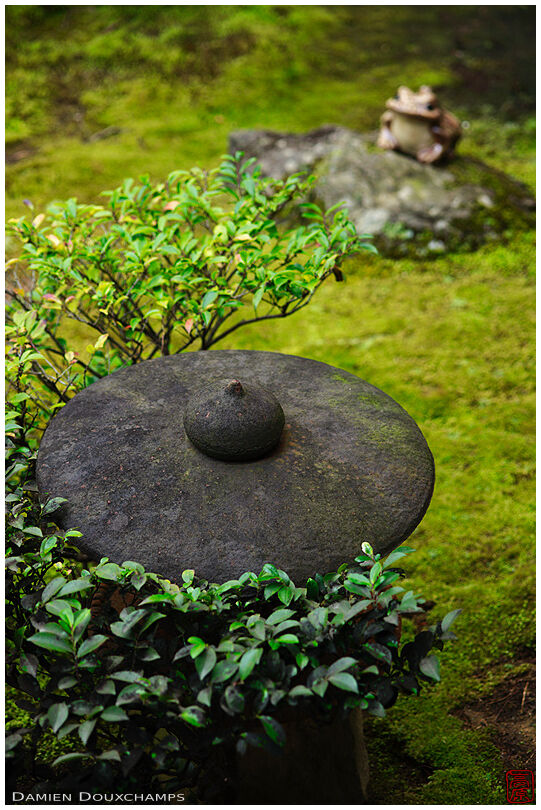 Lantern hat in moss garden, Kobai-in temple, Kyoto, Japan