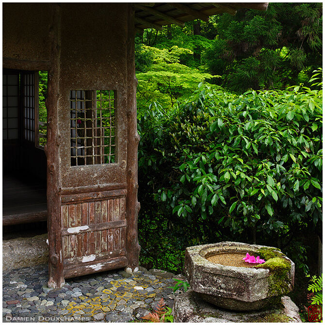 Water basin with flowers in Hakuryu-en garden, Kyoto, Japan