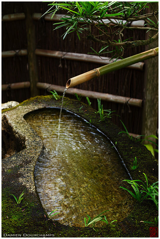 Bamboo pipe and tsukubai water basin at the entrance of Dainei-ken, Kyoto, Japan