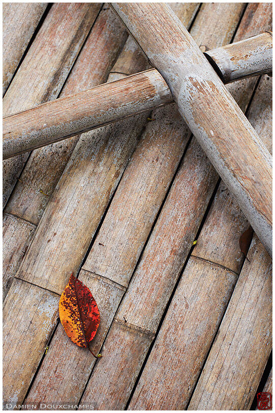 Fallen autumn leaf on bamboo well cover, Konchi-in temple, Kyoto, Japan