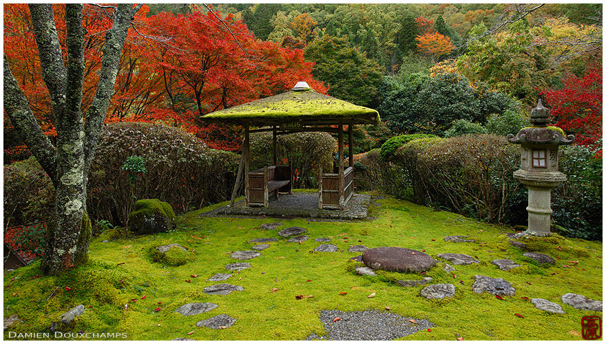 Moss-covered pavilion, Hakuryu-en garden, Kyoto, Japan