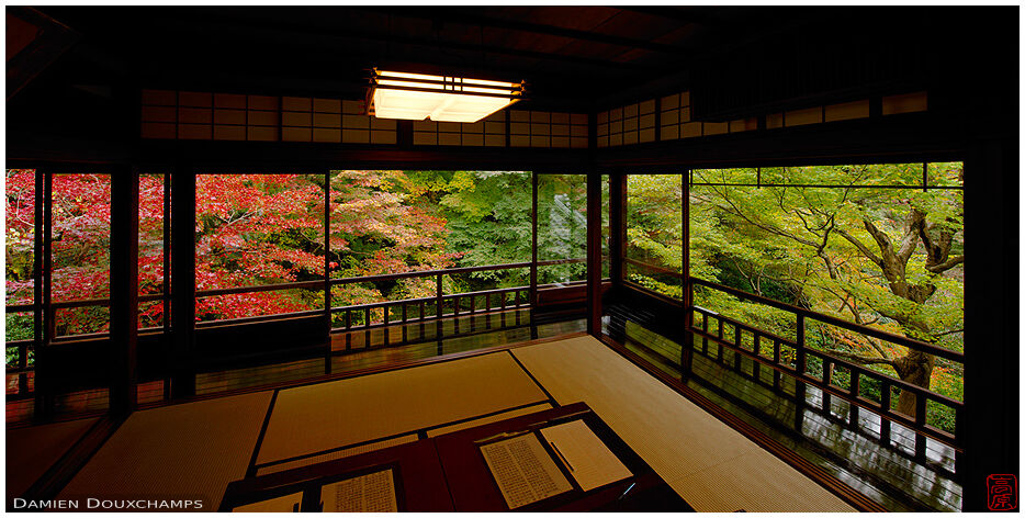 Rainbow of autumn foliage around a Japanese room of Ruriko-in temple, Kyoto, Japan