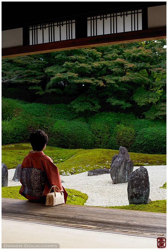 Quiet moment in Komyo-in temple garden, Kyoto, Japan