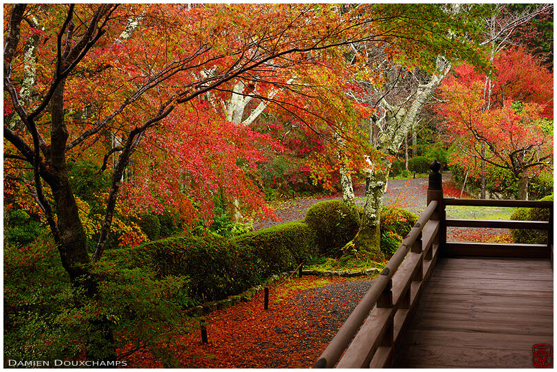 Late fall colours in Josho-ji temple, Kyoto, Japan
