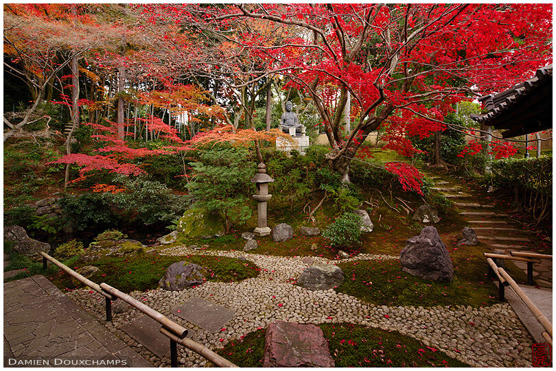 Red momiji maple trees over the Japanese garden of Eisho-in temple, Kyoto, Japan
