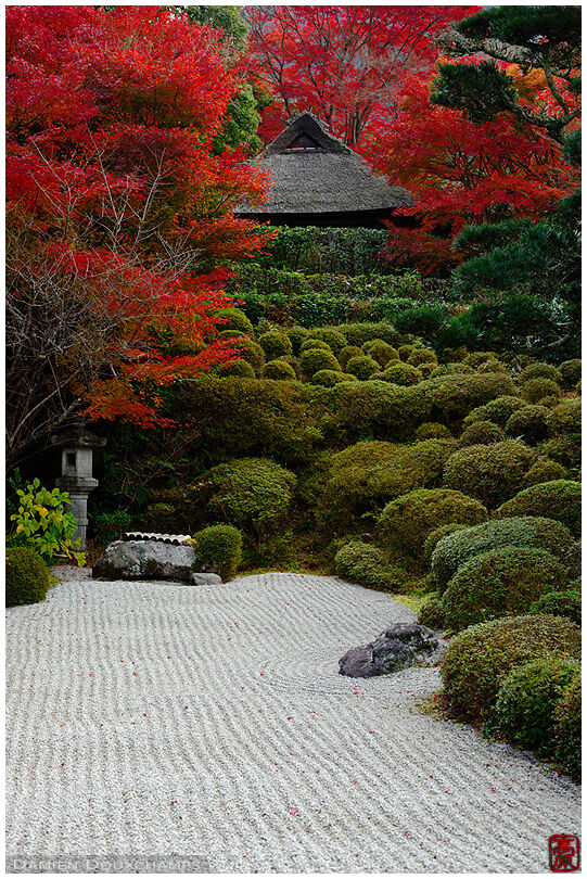 Konpuku-ji temple's thatched pavilion lost in autumn colours, Kyoto, Japan