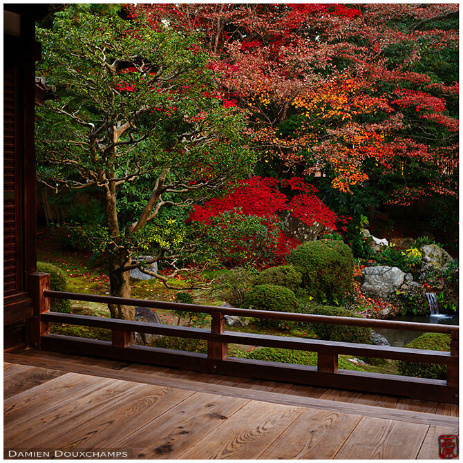 Terrace with view on Japanese garden in autumn, Zuishin-in temple, Kyoto, Japan