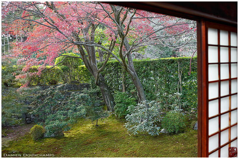 Simple autumn garden in Chōtoku-in temple, Kyoto, Japan
