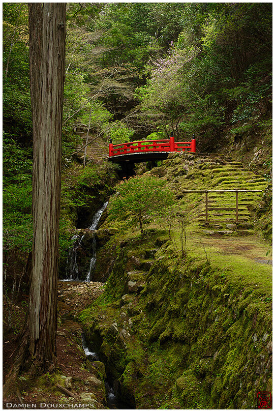 Red bridge in mossy forest, Hakuryu-en garden, Kyoto, Japan