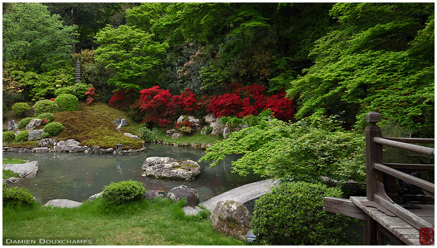 Red kirishima rhododendrons and heron in Shoren-in gardens, Kyoto, Japan