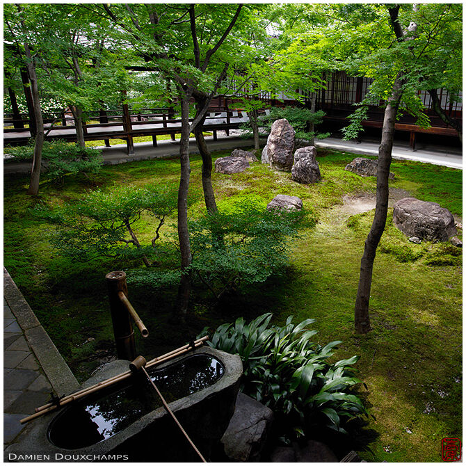 Tsukubai water basin in the inner moss garden of Kennin-ji temple, Kyoto, Japan