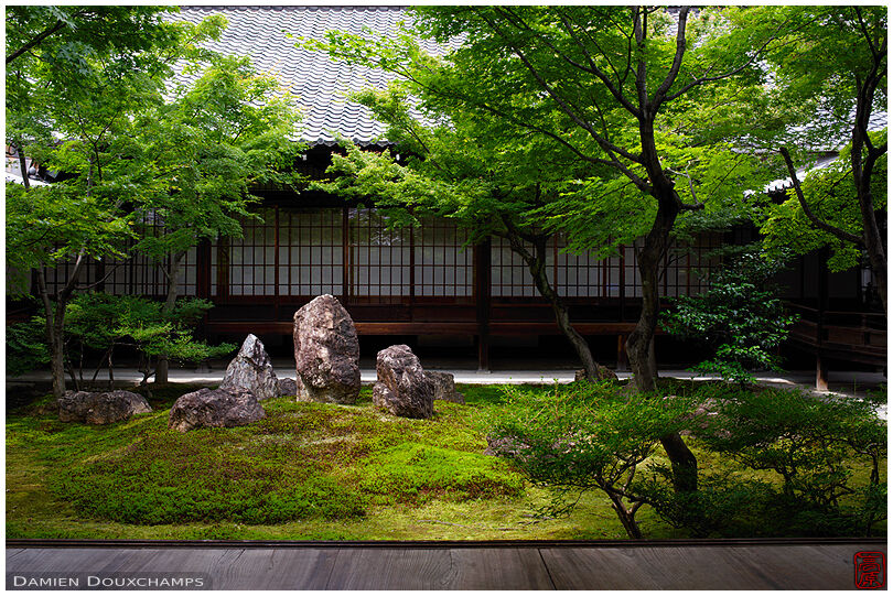 Kennin-ji temple's inner moss garden, Kyoto, Japan