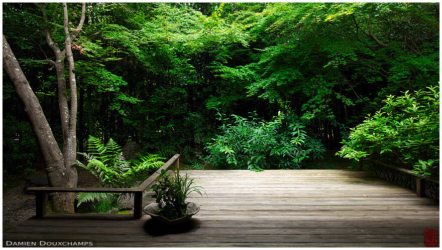 Wooden terrace with view on the forest in Furo-an, Kyoto, Japan