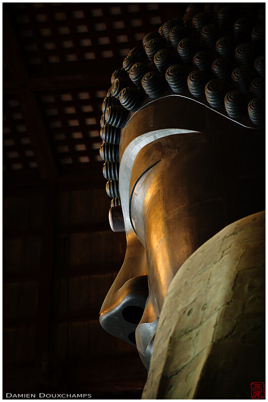 Todai-ji temple Great Buddha, Nara, Japan