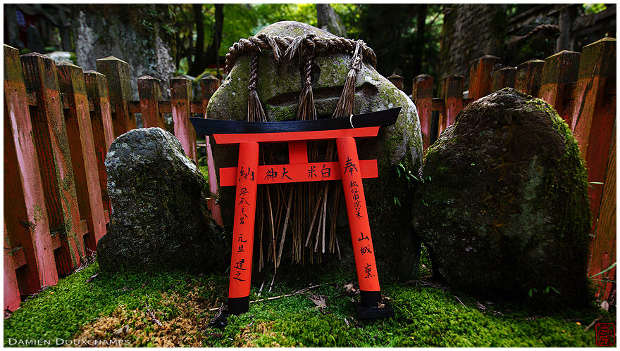 Torii votive offering in dark corner of Fushimi Inari shrine forest, Kyoto, Japan