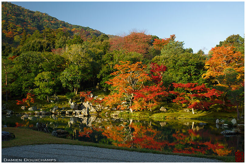 Early autumn morning on the pond of Tenryu-ji temple, Kyoto, Japan