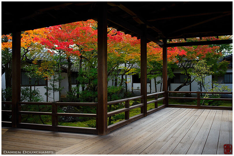 Covered passage winding among red maple trees in Ninna-ji temple, Kyoto, Japan