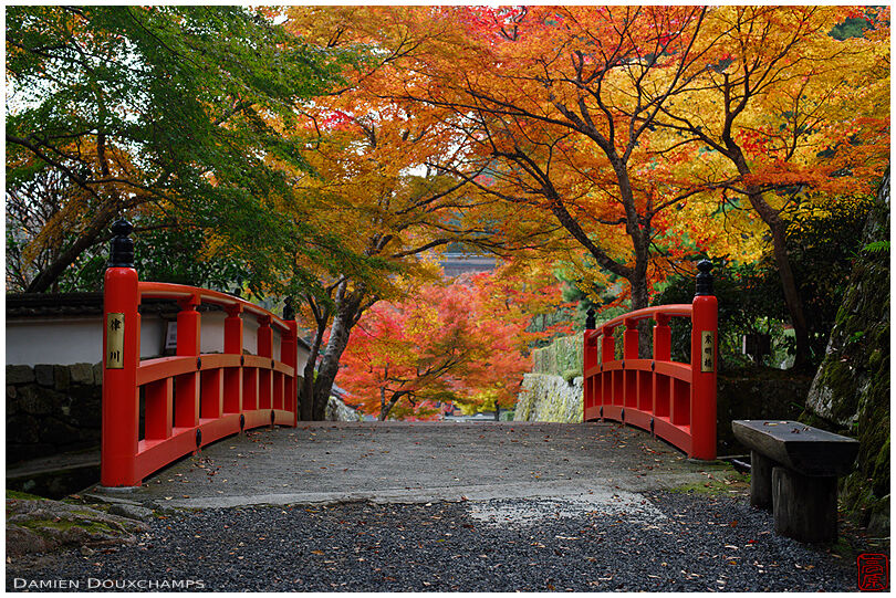 Bridge with autumn colours, Ohara valley, Kyoto