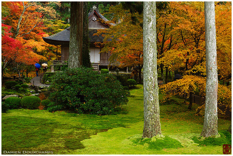 Autumn colours in Sanzen-in temple moss garden, Ohara valley, Kyoto