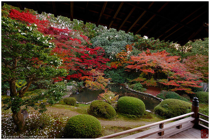 Autumn in Zuishin-in temple garden, Kyoto