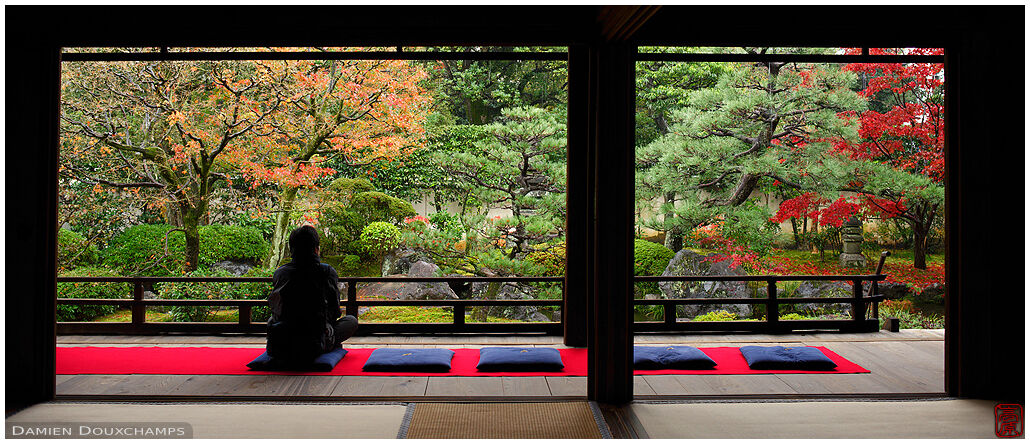 Visitor having a quiet and relaxing autumn time in Shodeneigenin temple, Kyoto, Japan
