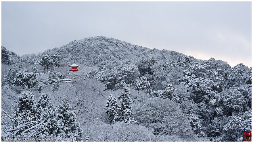 Frozen landscape in Kiyomizu-dera temple, Kyoto, Japan