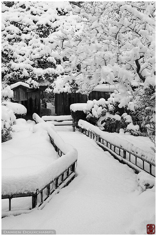 Thick snow covering the entrance path of Hosen-in temple in the Ohara valley of Kyoto, Japan