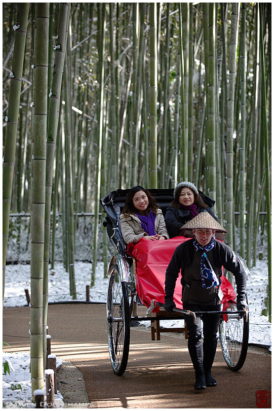 Tourists in rickshaw in the bamboo forest of Arashiyama, Kyoto, Japan