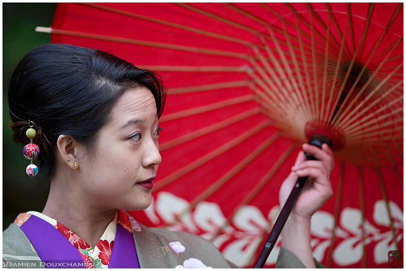 Kimono wearing woman holding a traditional umbrella, Giyo-ji temple, Kyoto, Japan