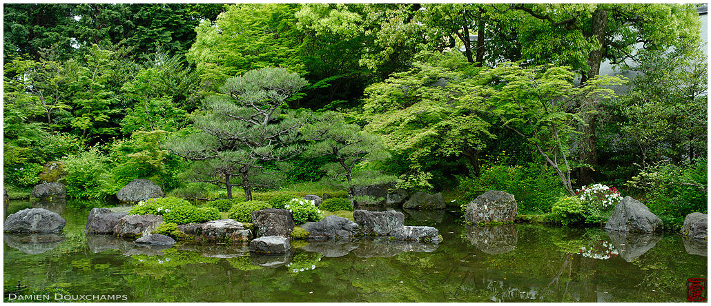 Green spring colours on the pond of Jonan-gu shrine gardens, Kyoto, Japan