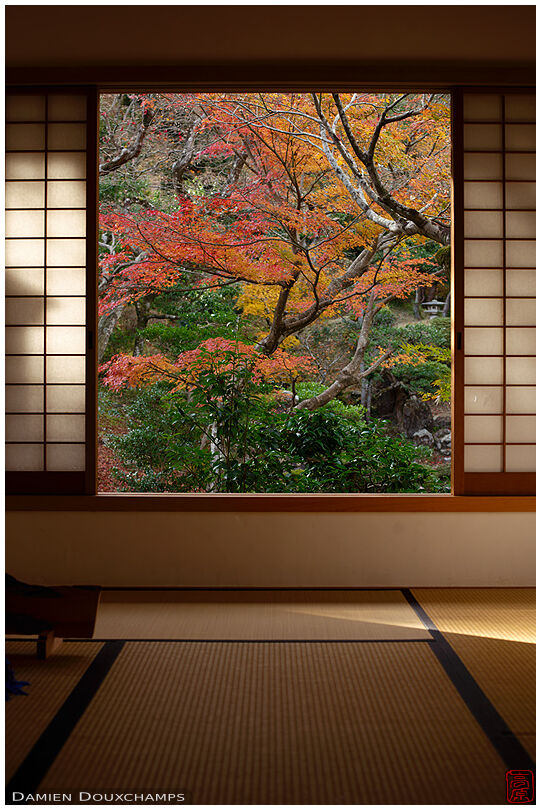 Tatami room with view on autumn colors, Tokugen-in temple, Shiga, Japan